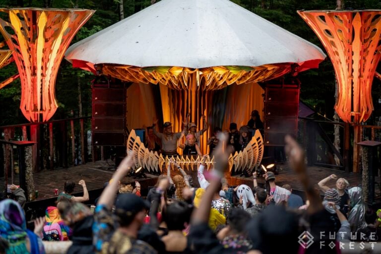 Photo du festival Future Forest 2024