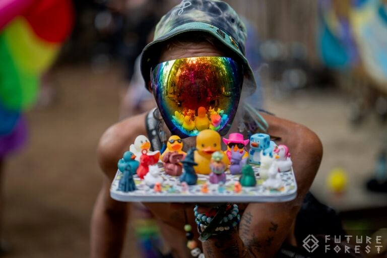 Photo du festival Future Forest 2024