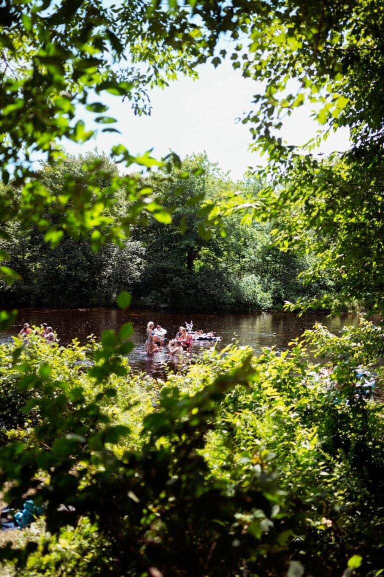Photo du festival Future Forest 2024