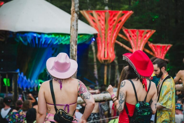Photo du festival Future Forest 2024