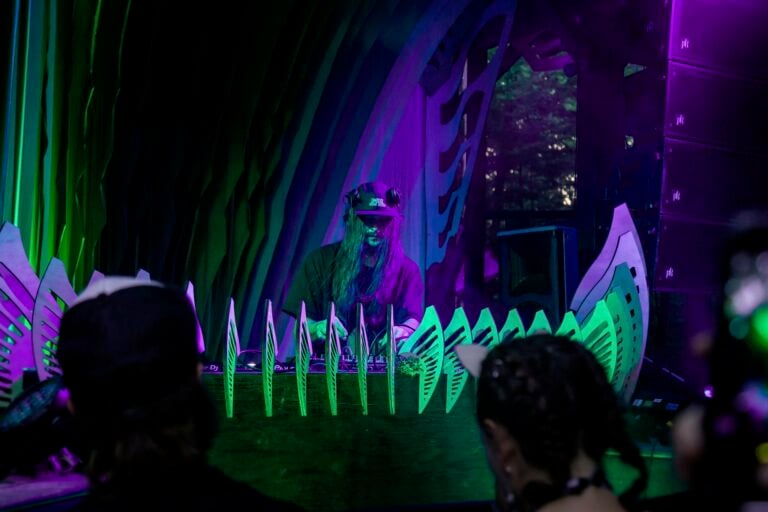 Photo du festival Future Forest 2024