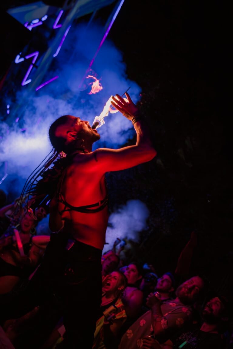 Photo du festival Future Forest 2024