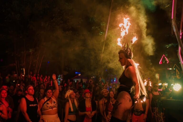 Photo du festival Future Forest 2024