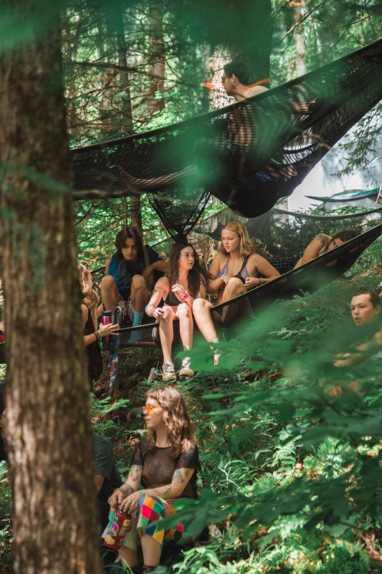 Photo du festival Future Forest 2024