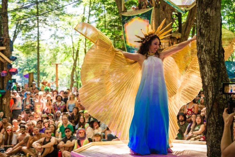 Photo du festival Future Forest 2024
