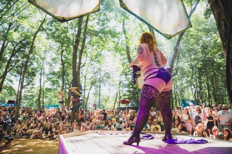 Photo du festival Future Forest 2024