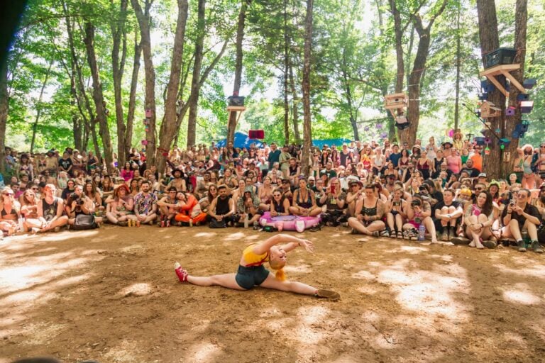 Photo du festival Future Forest 2024