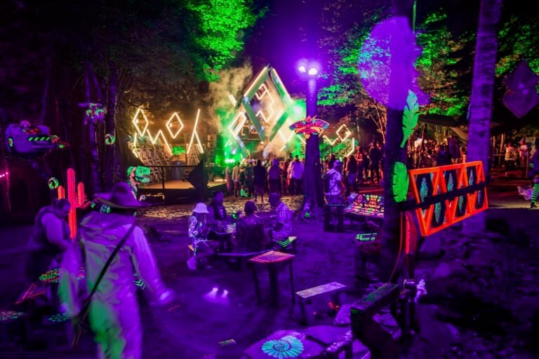 Photo du festival Future Forest 2024