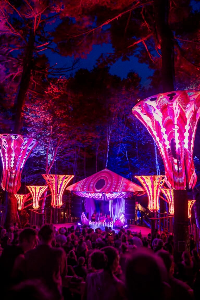 Photo du festival Future Forest 2024