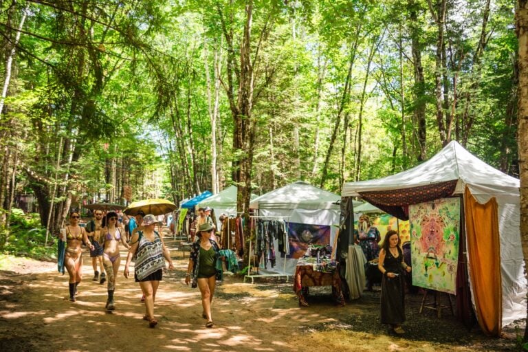 Photo du festival Future Forest 2024