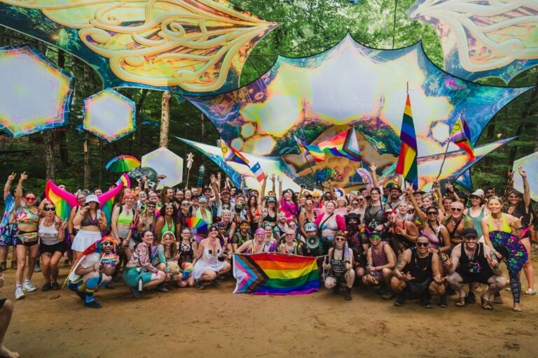 Photo du festival Future Forest 2024