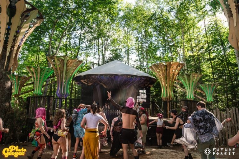 Photo du festival Future Forest 2024