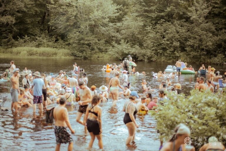 Photo du festival Future Forest 2024