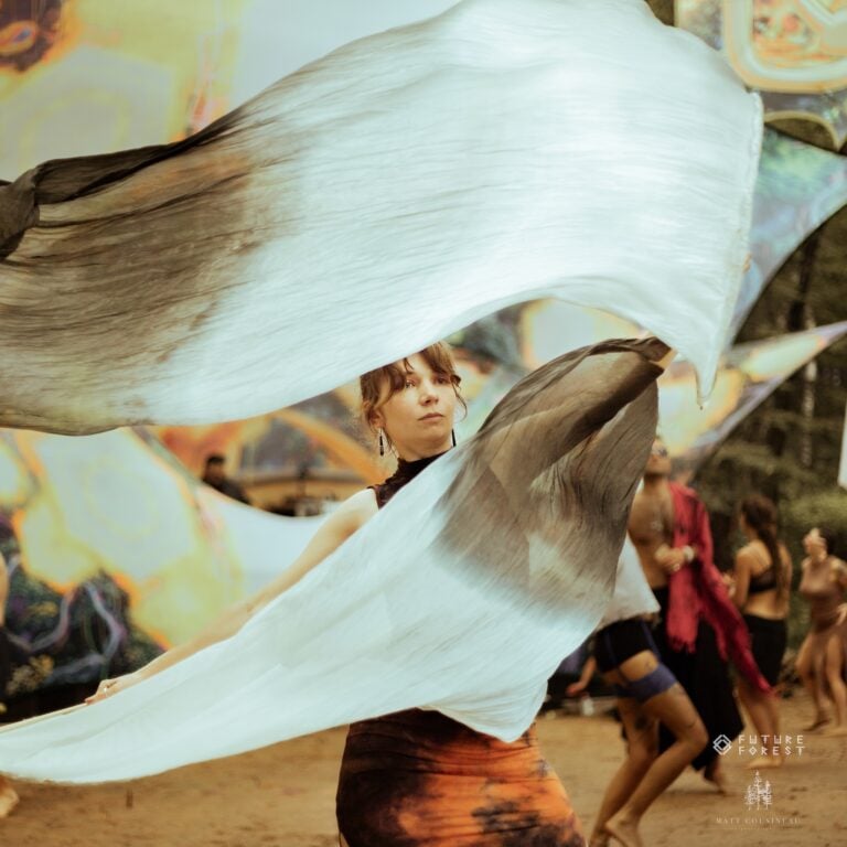 Photo du festival Future Forest 2024