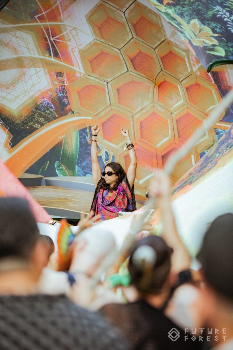 Photo du festival Future Forest 2024