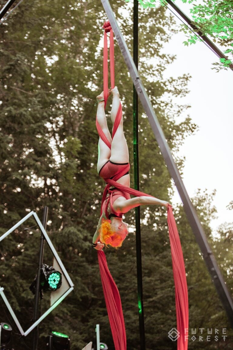 Photo du festival Future Forest 2024