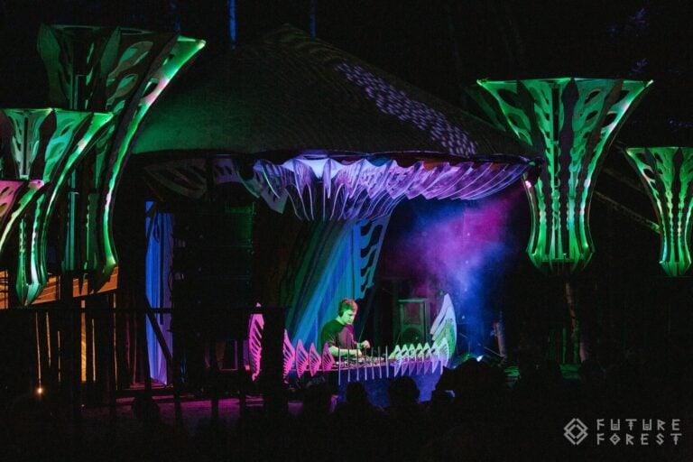 Photo du festival Future Forest 2024