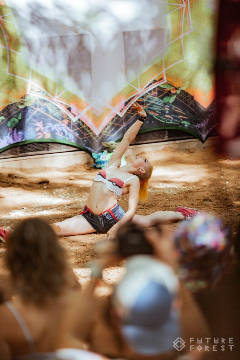 Photo du festival Future Forest 2024