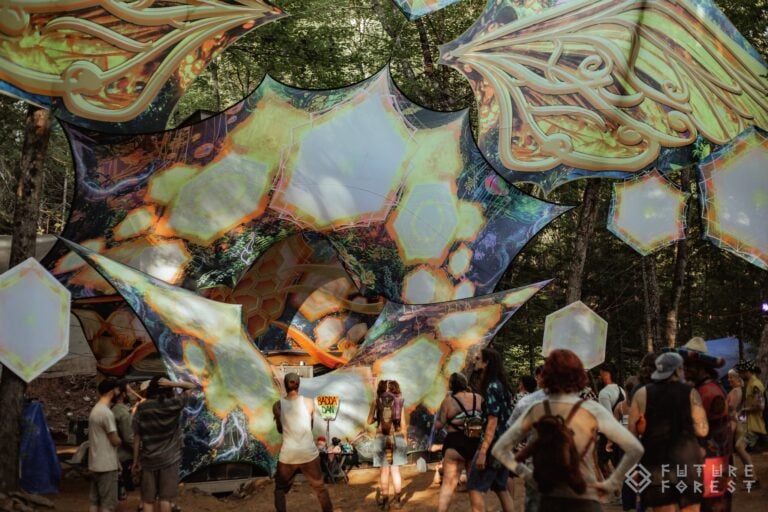 Photo du festival Future Forest 2024