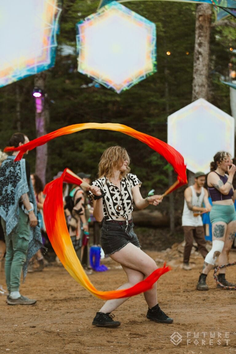Photo du festival Future Forest 2024
