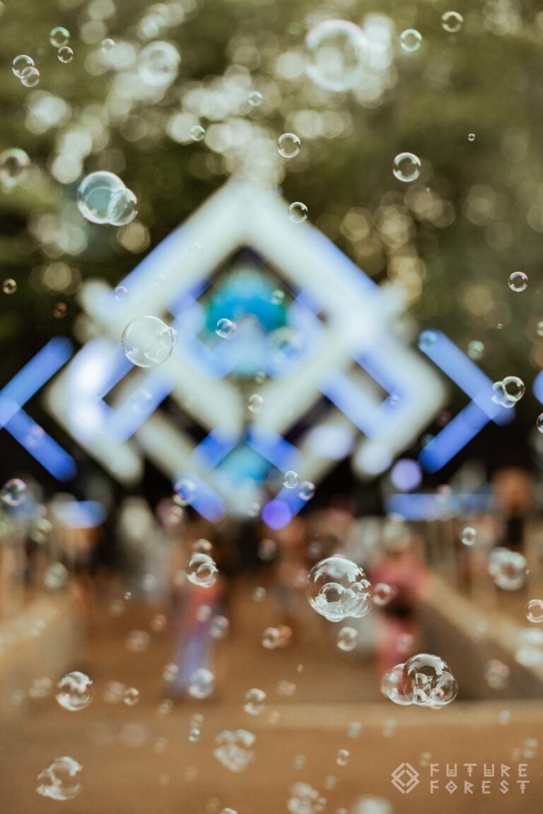 Photo du festival Future Forest 2024