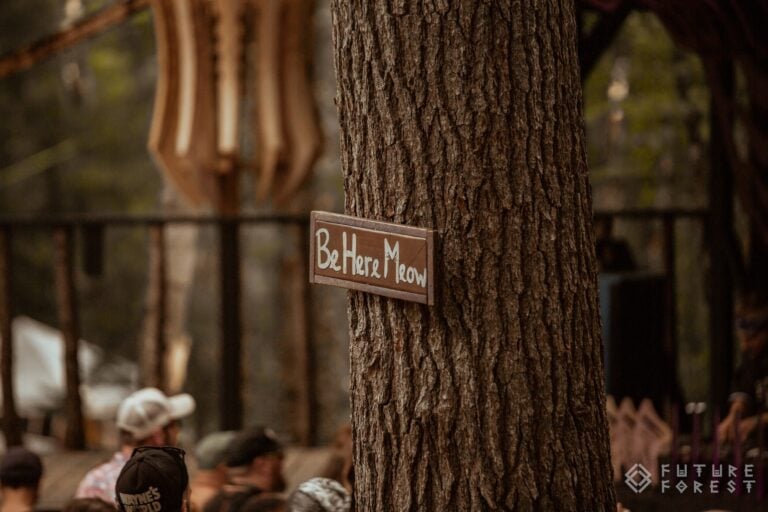 Pancarte en bois portant les mots Be Here Meow clouée sur un tronc d'arbre, avec une foule assise floue en arrière-plan