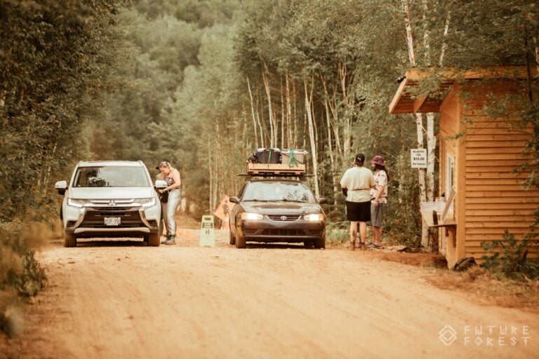 Photo du festival Future Forest 2024