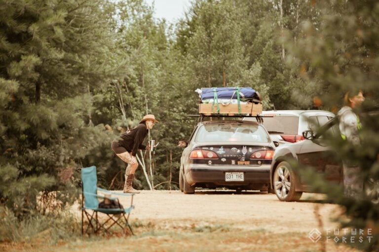 Photo du festival Future Forest 2024