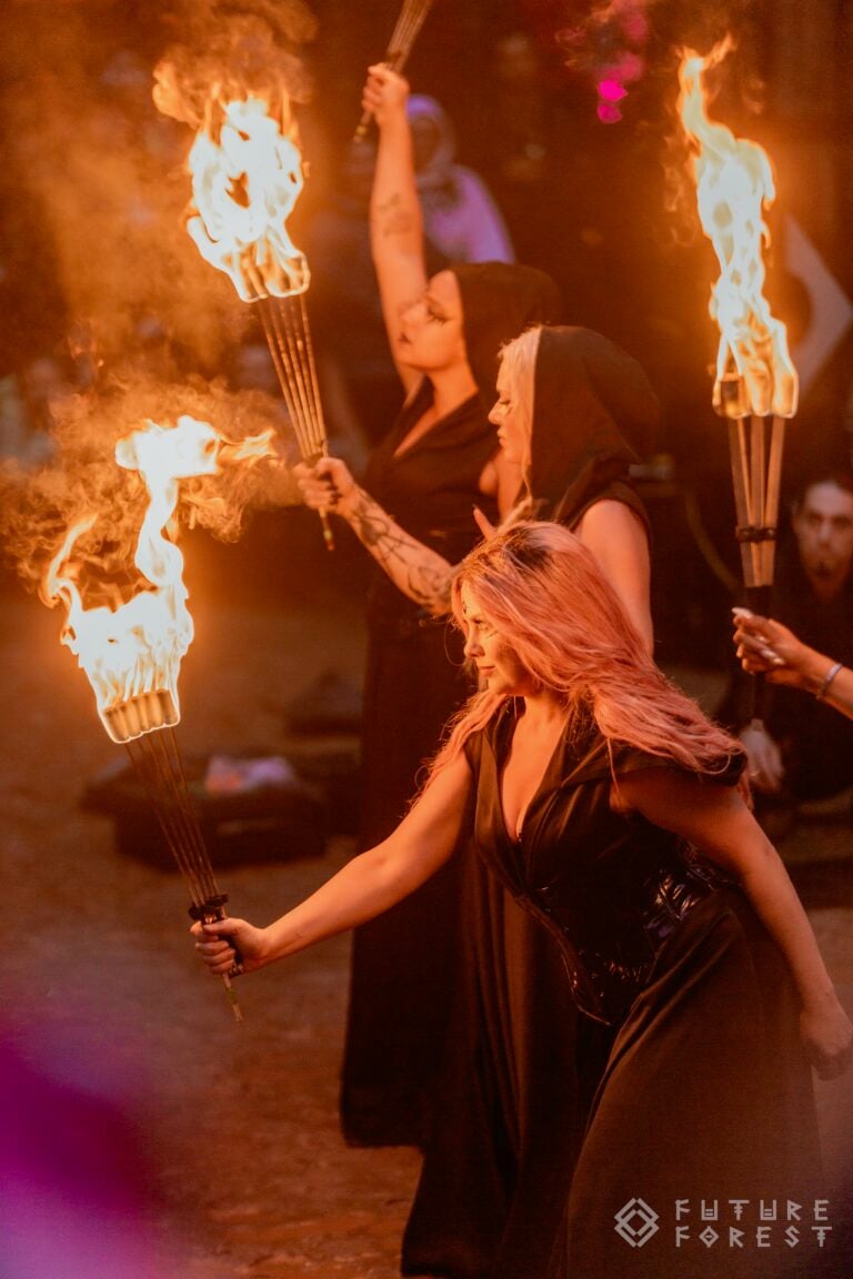 Photo du festival Future Forest 2024