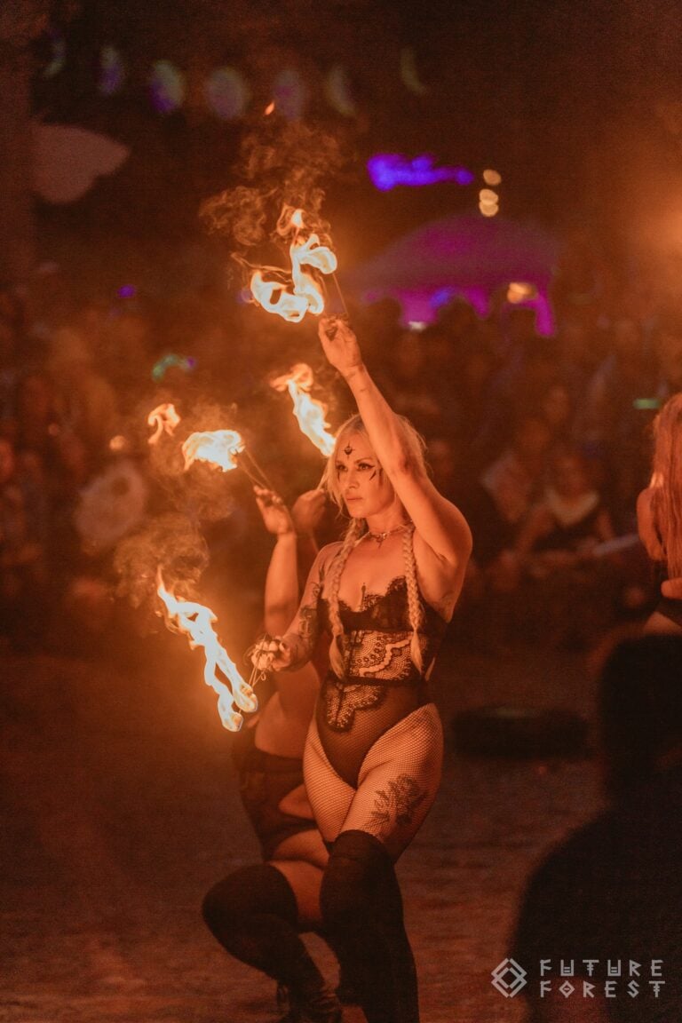 Photo du festival Future Forest 2024