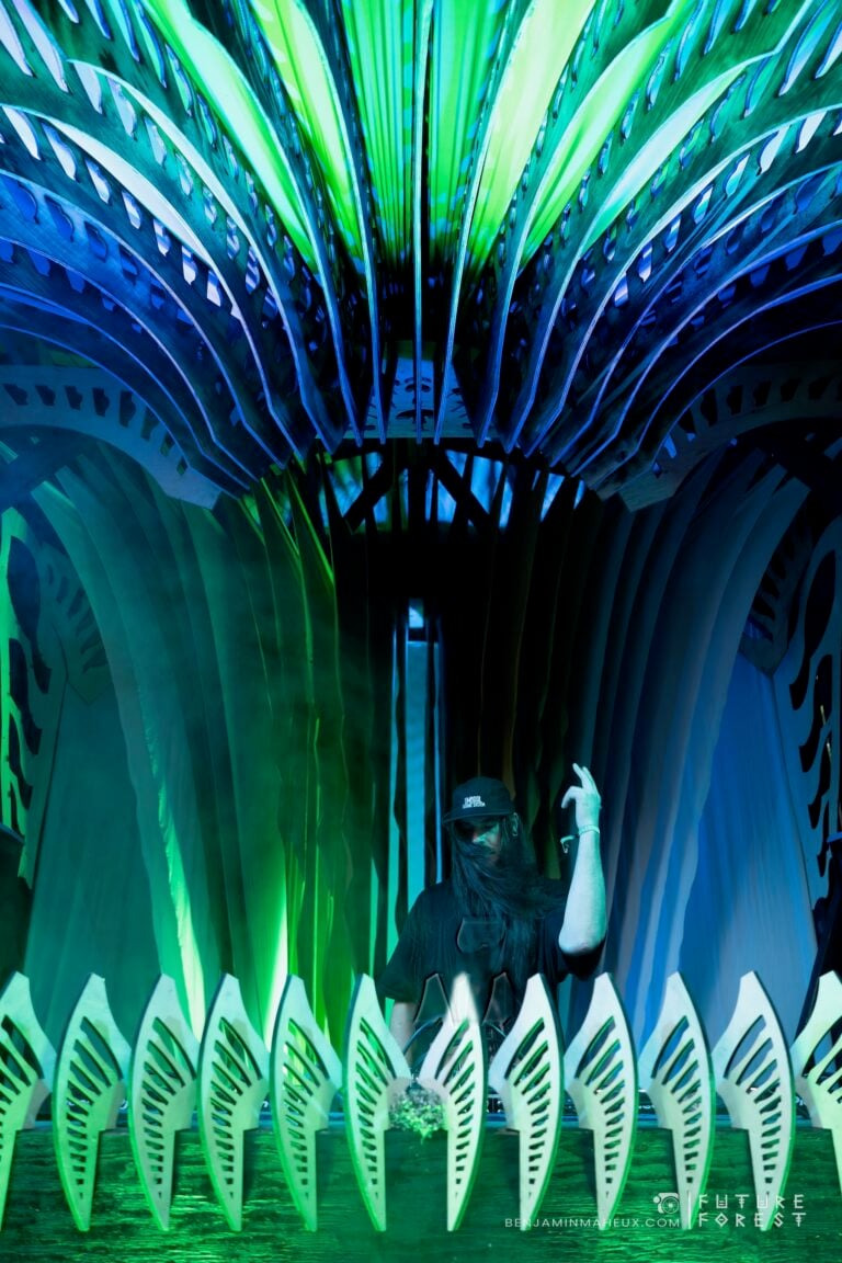 Photo du festival Future Forest 2024