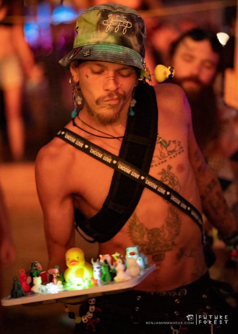 Photo du festival Future Forest 2024