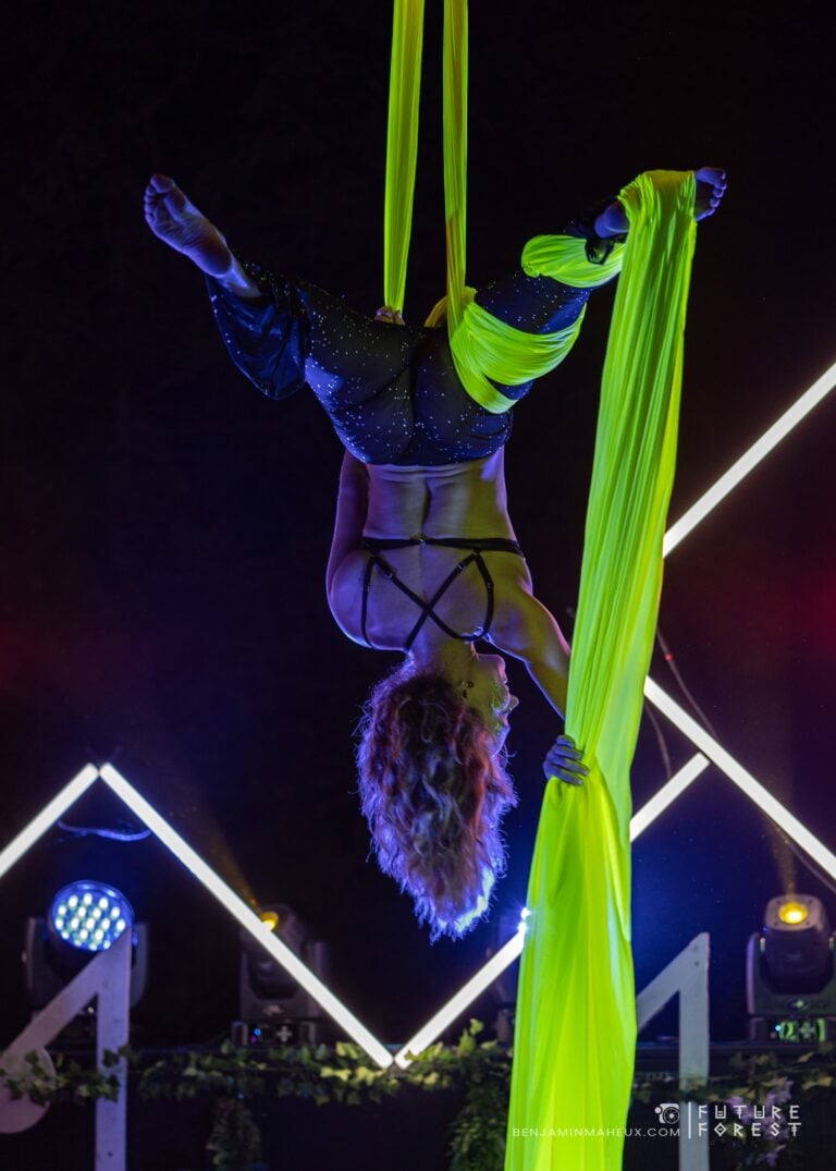 Photo du festival Future Forest 2024