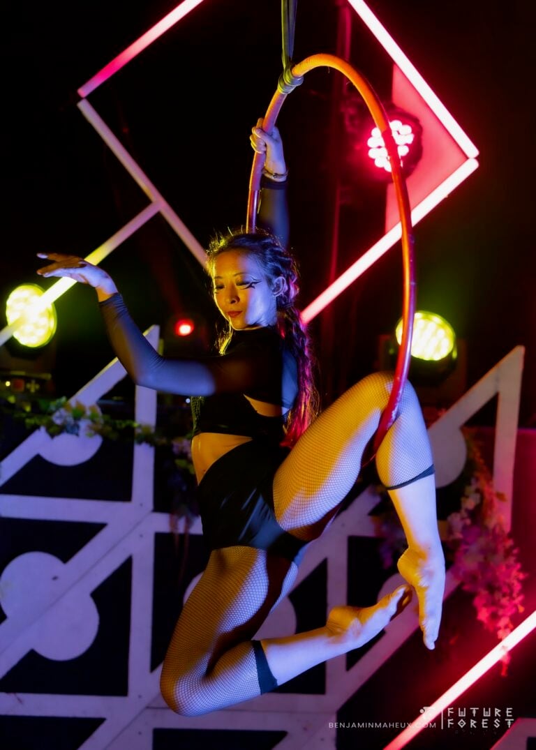 Photo du festival Future Forest 2024