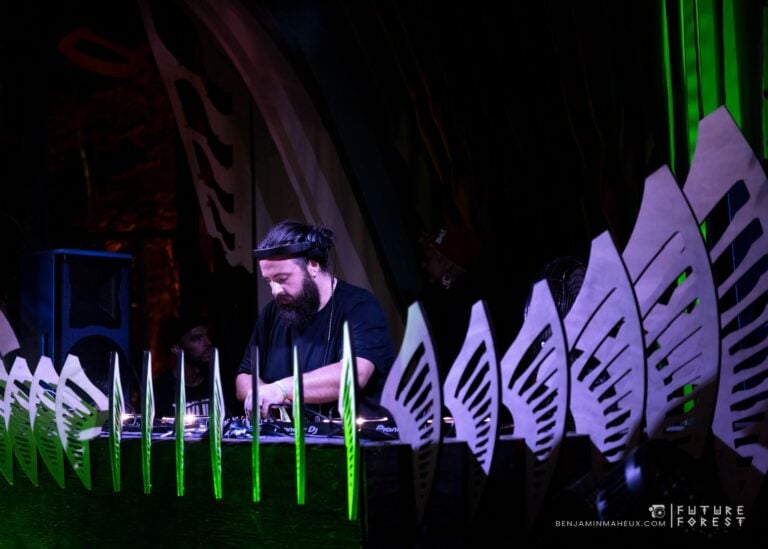 Photo du festival Future Forest 2024