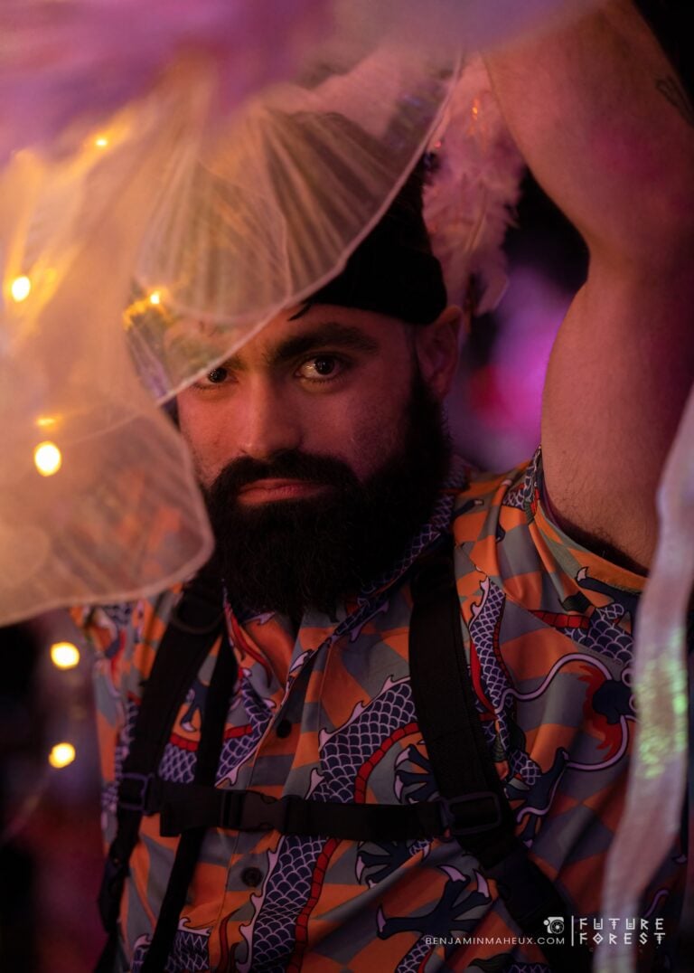 Photo du festival Future Forest 2024