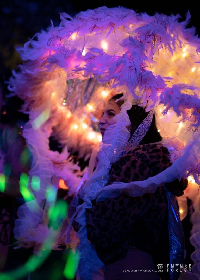 Photo du festival Future Forest 2024