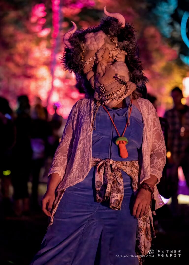 Photo du festival Future Forest 2024