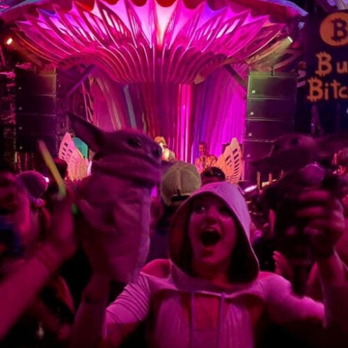 Future Forest Art Experience