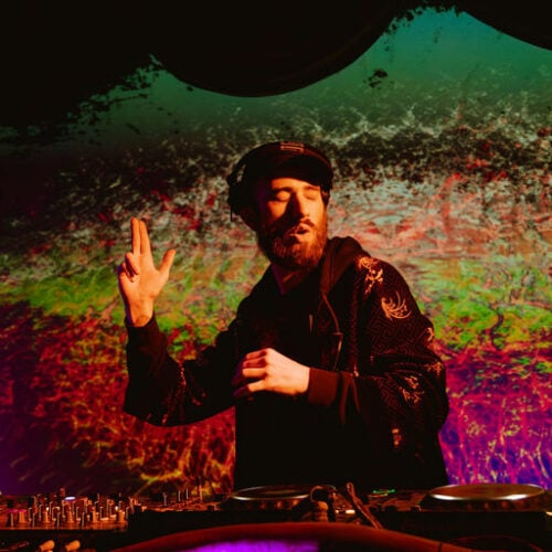 Future Forest Art Experience