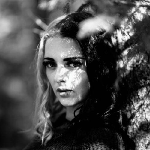 Future Forest Art Experience