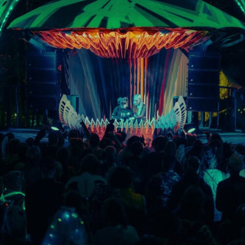 Future Forest Art Experience