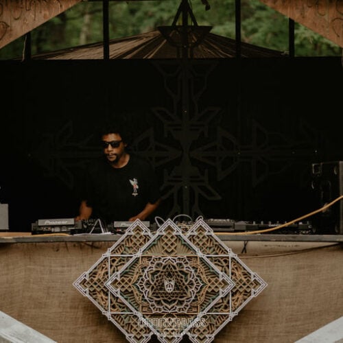 Future Forest Art Experience