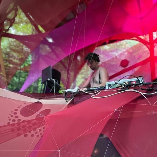 Future Forest Art Experience
