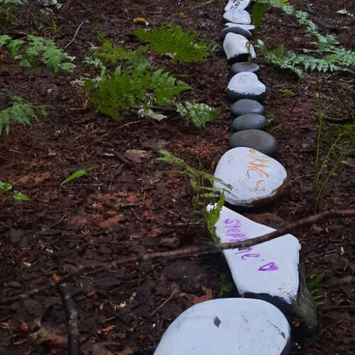 Future Forest Art Experience