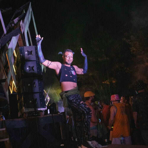 Future Forest Art Experience