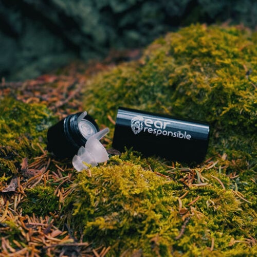 Future Forest Art Experience