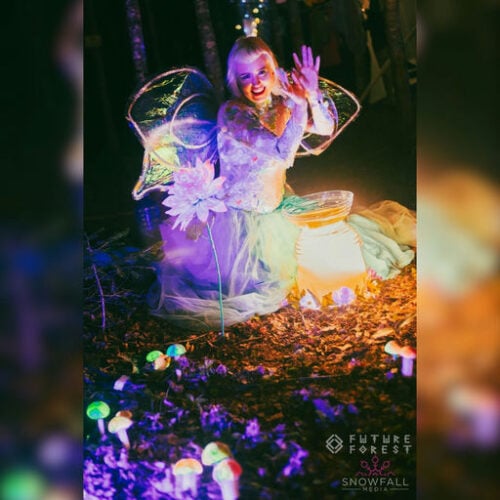Future Forest Art Experience
