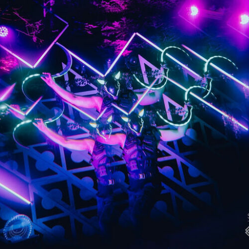 Future Forest Art Experience