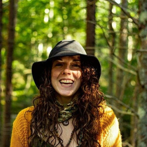 Future Forest Art Experience